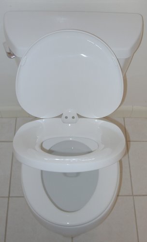 toilet seat with potty seat attached