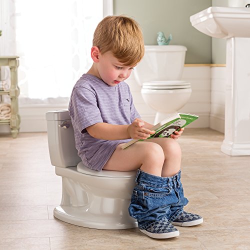 cool potty chairs